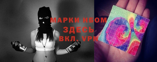 индика Алзамай