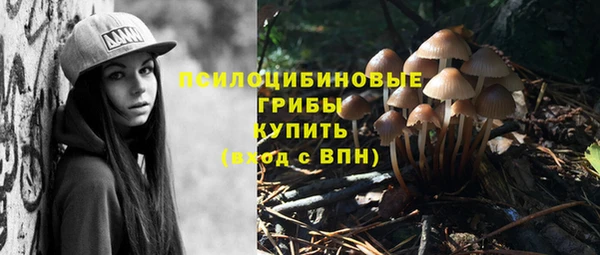 PSILOCYBIN Алексин
