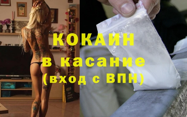 индика Алзамай