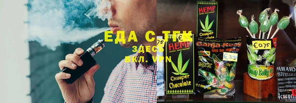 индика Алзамай