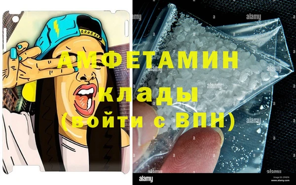 индика Алзамай