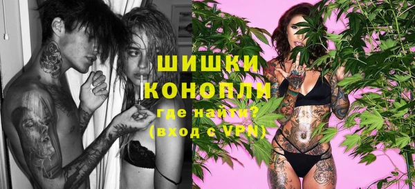 индика Алзамай
