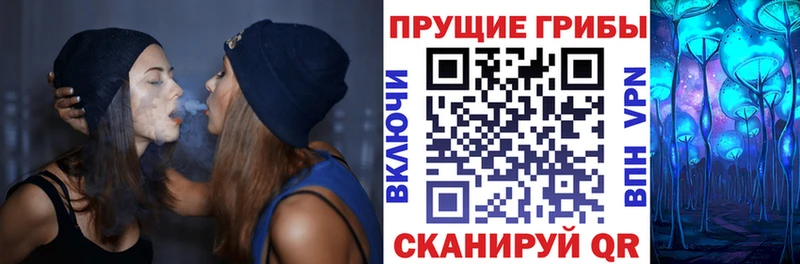 даркнет какой сайт  Солнечногорск  Псилоцибиновые грибы GOLDEN TEACHER  купить  